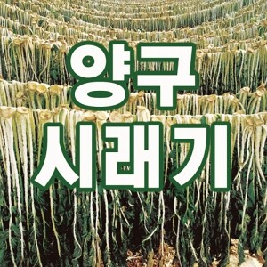 두타연 농원,시래기(1kg)